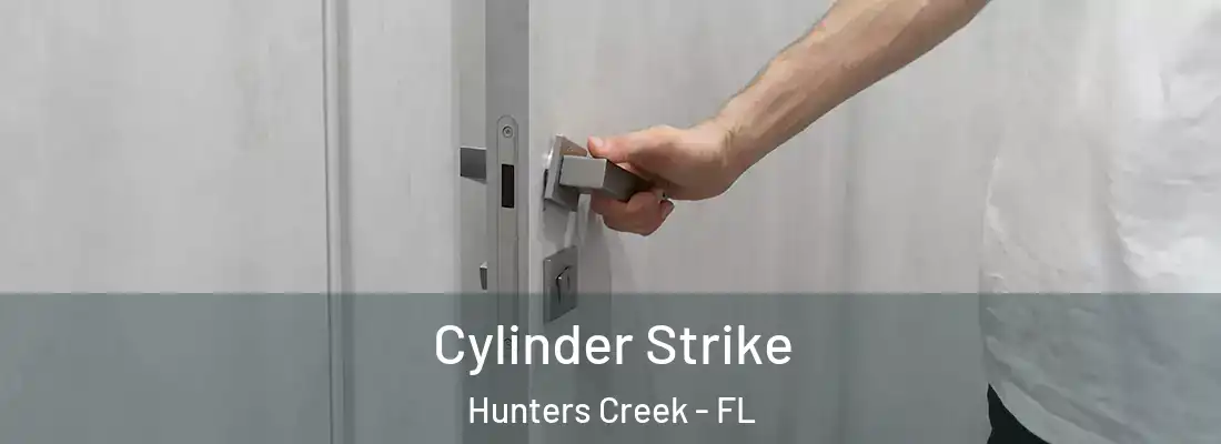  Cylinder Strike Hunters Creek - FL