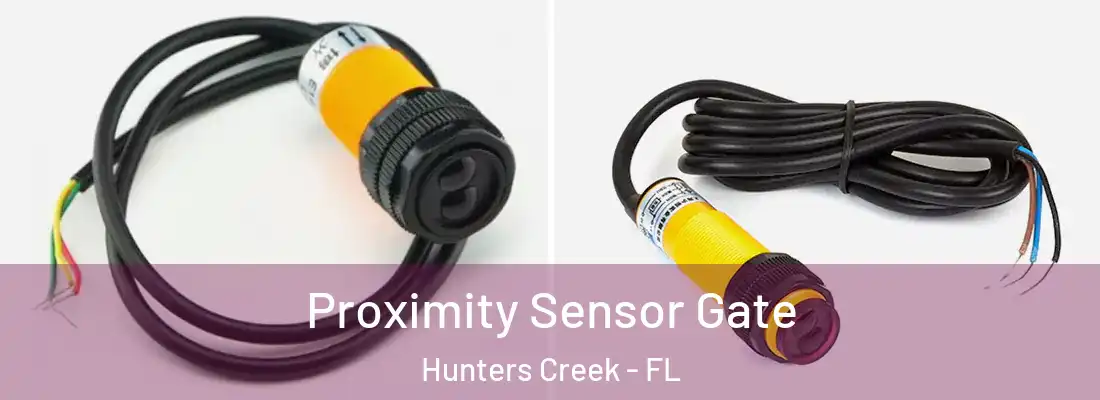 Proximity Sensor Gate Hunters Creek - FL